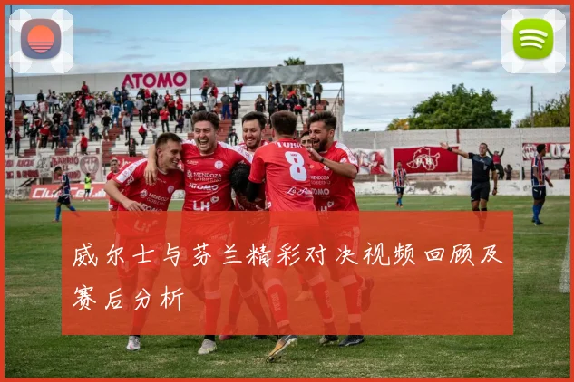 威尔士与芬兰精彩对决视频回顾及赛后分析