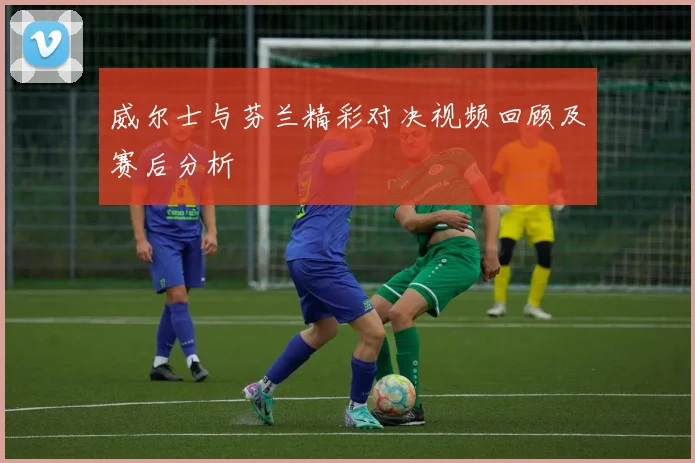 威尔士与芬兰精彩对决视频回顾及赛后分析