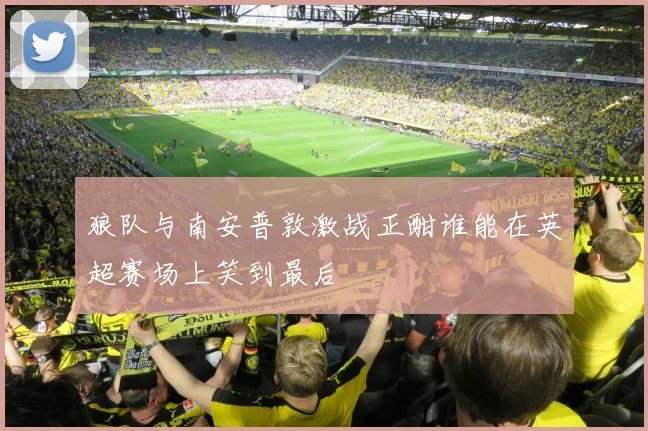 狼队与南安普敦激战正酣谁能在英超赛场上笑到最后