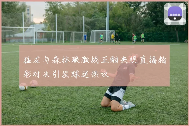 猛龙与森林狼激战正酣央视直播精彩对决引发球迷热议