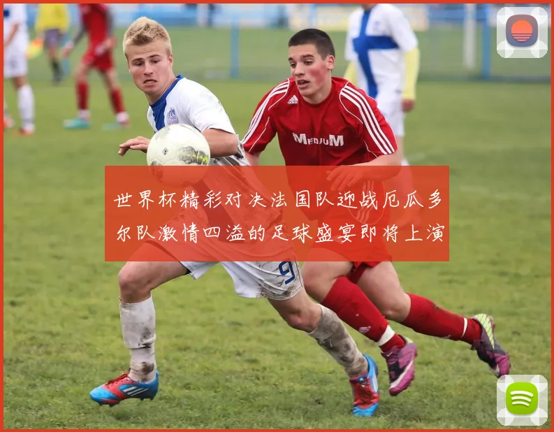 世界杯精彩对决法国队迎战厄瓜多尔队激情四溢的足球盛宴即将上演
