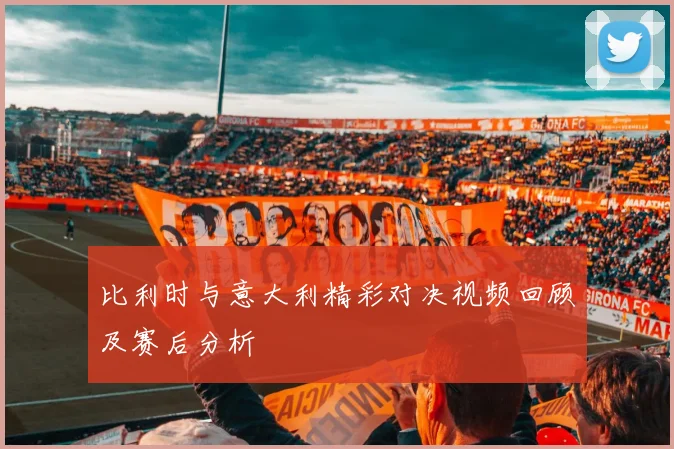 比利时与意大利精彩对决视频回顾及赛后分析