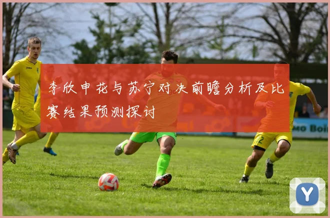 李欣申花与苏宁对决前瞻分析及比赛结果预测探讨